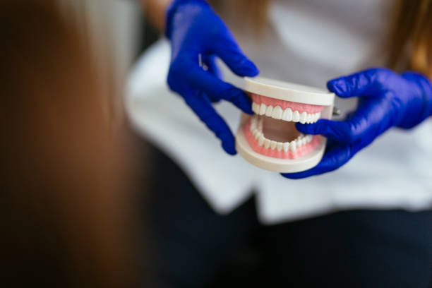 Professional  Holistic Dental Services in Hopewell, NJ